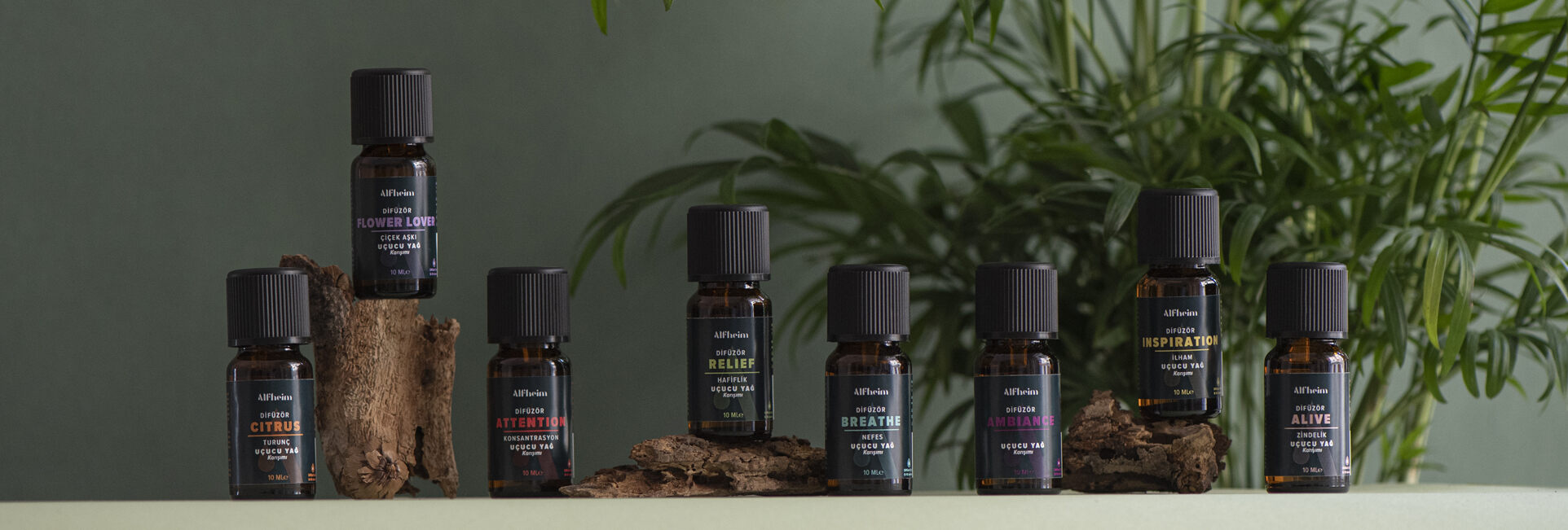 collection-banner-image