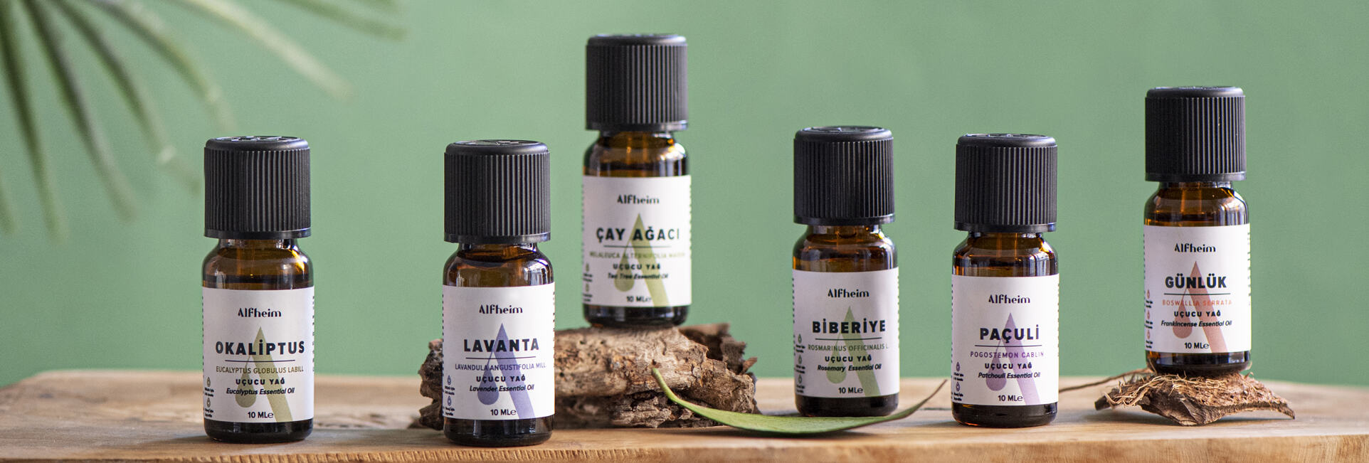 collection-banner-image